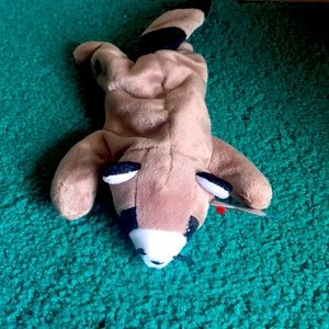 ✨Free with purchase ✨Ringo the raccoon beanie baby